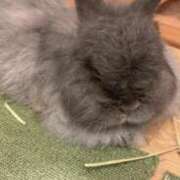 ヒメ日記 2026/01/14 13:11 投稿 かぐや 秋葉原コスプレ学園(AKG)