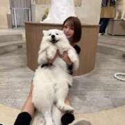 ヒメ日記 2025/01/28 19:20 投稿 ゆん THE ESUTE 五反田店