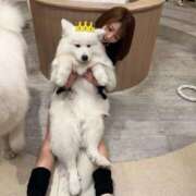 ヒメ日記 2025/04/12 11:20 投稿 ゆん THE ESUTE 五反田店