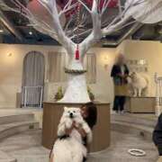 ヒメ日記 2025/05/18 15:29 投稿 ゆん THE ESUTE 五反田店