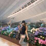 ヒメ日記 2025/07/01 00:28 投稿 ゆん THE ESUTE 五反田店