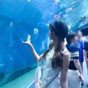 ヒメ日記 2025/08/05 20:25 投稿 ゆん THE ESUTE 五反田店