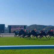 ゆん 🐴🌸 THE ESUTE 五反田店