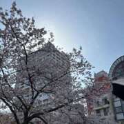 ヒメ日記 2025/04/12 18:55 投稿 せいら 初体験