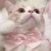 ヒメ日記 2025/09/28 13:21 投稿 せいら 初体験