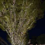 せいら 💛 おはよ 💛 初体験