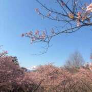 ヒメ日記 2026/03/15 10:41 投稿 せいら 初体験