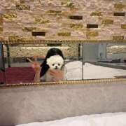 ヒメ日記 2026/04/26 11:11 投稿 せいら 初体験