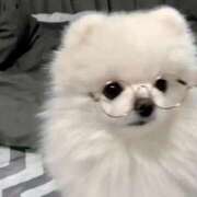 ヒメ日記 2025/05/28 11:37 投稿 みれい 初体験