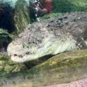 ヒメ日記 2025/10/22 22:33 投稿 ソフィア ナイスレディ