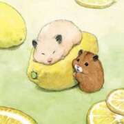 ヒメ日記 2024/12/07 22:03 投稿 体験なな ミセスコレクション