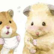 ヒメ日記 2024/12/07 23:37 投稿 体験なな ミセスコレクション