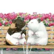 ヒメ日記 2024/12/08 02:33 投稿 体験なな ミセスコレクション