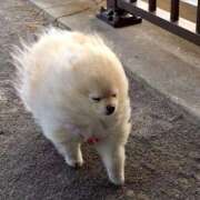 ヒメ日記 2024/12/08 08:13 投稿 体験なな ミセスコレクション