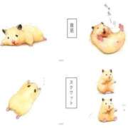 ヒメ日記 2024/12/09 19:55 投稿 体験なな ミセスコレクション