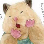 ヒメ日記 2024/12/09 21:53 投稿 体験なな ミセスコレクション