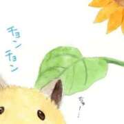 ヒメ日記 2024/12/11 22:33 投稿 体験なな ミセスコレクション