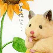 ヒメ日記 2024/12/11 23:53 投稿 体験なな ミセスコレクション