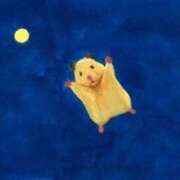 ヒメ日記 2024/12/12 18:43 投稿 体験なな ミセスコレクション