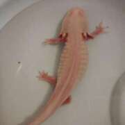 ヒメ日記 2024/12/12 19:13 投稿 体験なな ミセスコレクション