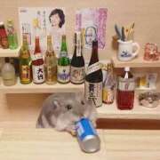 ヒメ日記 2024/12/13 23:23 投稿 体験なな ミセスコレクション