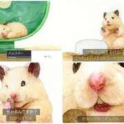 ヒメ日記 2024/12/14 23:33 投稿 体験なな ミセスコレクション