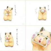 ヒメ日記 2024/12/16 12:24 投稿 体験なな ミセスコレクション