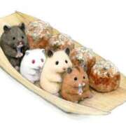 ヒメ日記 2024/12/17 02:13 投稿 体験なな ミセスコレクション