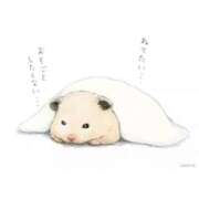 ヒメ日記 2024/12/17 02:33 投稿 体験なな ミセスコレクション