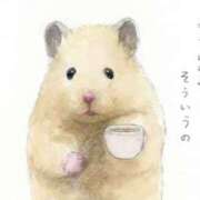 ヒメ日記 2024/12/17 20:33 投稿 体験なな ミセスコレクション