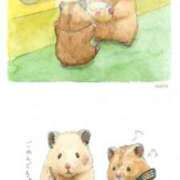 ヒメ日記 2024/12/18 23:13 投稿 体験なな ミセスコレクション