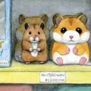 ヒメ日記 2024/12/19 22:38 投稿 体験なな ミセスコレクション