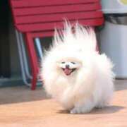 ヒメ日記 2024/12/20 18:23 投稿 体験なな ミセスコレクション