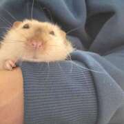 ヒメ日記 2024/12/21 22:03 投稿 体験なな ミセスコレクション