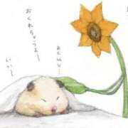 ヒメ日記 2024/12/22 02:17 投稿 体験なな ミセスコレクション