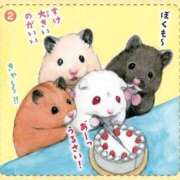 ヒメ日記 2024/12/25 08:13 投稿 体験なな ミセスコレクション