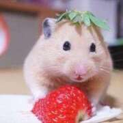 ヒメ日記 2024/12/26 01:33 投稿 体験なな ミセスコレクション