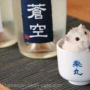 ヒメ日記 2024/12/26 02:13 投稿 体験なな ミセスコレクション