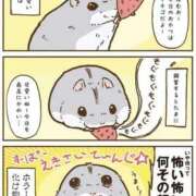 ヒメ日記 2024/12/26 18:15 投稿 体験なな ミセスコレクション