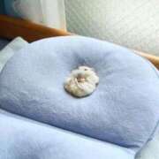 ヒメ日記 2024/12/28 01:23 投稿 体験なな ミセスコレクション