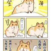 ヒメ日記 2024/12/28 18:13 投稿 体験なな ミセスコレクション