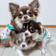 ヒメ日記 2024/12/28 21:37 投稿 体験なな ミセスコレクション