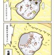 ヒメ日記 2024/12/29 00:33 投稿 体験なな ミセスコレクション