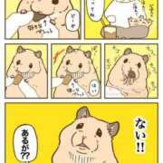 ヒメ日記 2024/12/29 18:23 投稿 体験なな ミセスコレクション