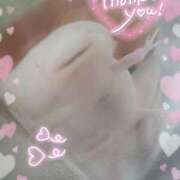 ヒメ日記 2024/12/30 18:13 投稿 体験なな ミセスコレクション