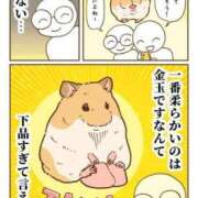 ヒメ日記 2024/12/31 03:23 投稿 体験なな ミセスコレクション