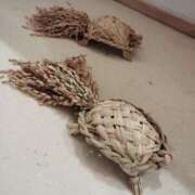 ヒメ日記 2025/01/05 09:23 投稿 体験なな ミセスコレクション