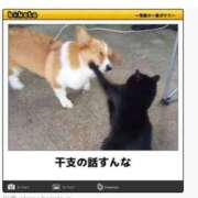 ヒメ日記 2025/01/06 08:13 投稿 体験なな ミセスコレクション