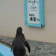 ヒメ日記 2025/01/06 12:23 投稿 体験なな ミセスコレクション