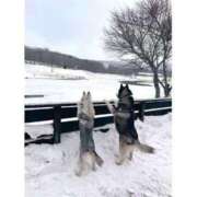 ヒメ日記 2025/01/07 01:33 投稿 体験なな ミセスコレクション